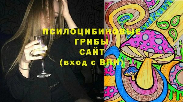 стаф Белоозёрский